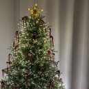 봄 맞이 힐링 라탄 | 홈 인테리어) 풍성한 PE 100% 크리스마스 트리 180cm 벨벳 리본 오너먼트 라탄 바스켓 설치 후기