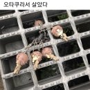 한국아름인형극회 | 귤에 붙은 거 귤락 나한테 붙은 거, 나락