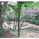 솔바람야영장 | [전남 계곡 캠핑장]곡성 청계동 솔바람 야영장 여름 캠핑 추천(데크 12번)