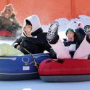 평창송어 이미지