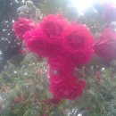 사촌농장 이미지