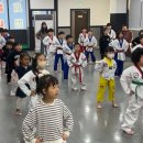 JC태권도장 이미지