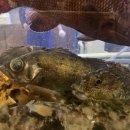 춤추는해녀(원평점) 이미지