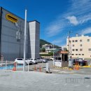 에스티 비숑프리제 이미지