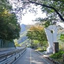 김유정 행장비 이미지