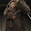 웅이농장 | 연말을 앞두고