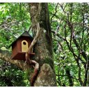 제주도건강랜드 이미지