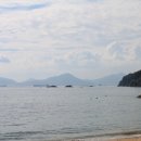 사촌해수욕장 Daum카페