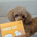 단아펫 | 강아지 수제 생치즈, 저지방 락토프리 펫치즈 노견도 급여 가능