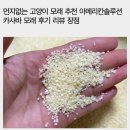 커넥트솔루션 | 먼지없는 고양이 모래 추천 아메리칸솔루션 카사바 모래 후기 리뷰 장점
