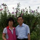 해제동초등학교 이미지