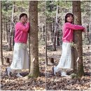 소호 숲 이미지