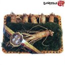 대명농장 이미지