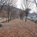 엘림펜션 이미지