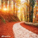 플라워펜션 이미지