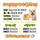 우리집 똥강아지 이미지