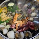 청년조개 이미지