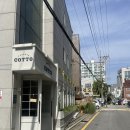 압구정 주차가능 맛집 - 오스테리아 꼬또 룸이용 내돈내산 후기