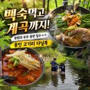 구옥돌삼겹살백반 | 서울 근교 용인 고기리 백숙 맛집 다닐목｜계곡 옆에서 즐기는 말복 보양식 후기