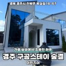스테이 숲 | 경주숙소 가을 숲에서 머문 구공스테이숲결 솔직후기