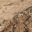 천천농장 이미지