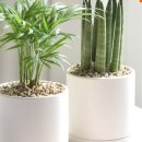 공기좋은집 이미지