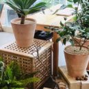 아로마와 색채심리 이미지