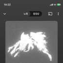 예플리