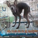 김포한강3로 이미지