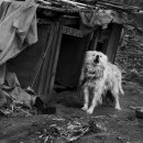 보문산로 이미지