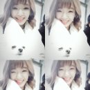 엠제이 헤어샵