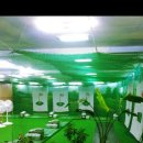 속초골프스쿨 이미지