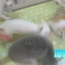 효경농장 이미지