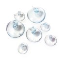 그레이스 이미지