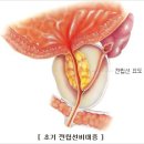 플러스비뇨기과의원 이미지