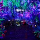 광명농원 이미지