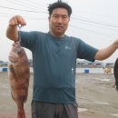 k1한국바다낚시터 이미지