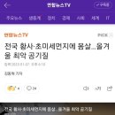 맥스아트
