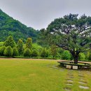 고산자연휴양림 이미지