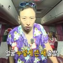 참하다참치 | [🇦🇺호주 워홀 16] 세컨비자 따러 타운즈빌