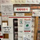 워시테리아서귀포