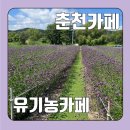 지내고탄로 이미지