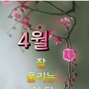 4월 4일 월요일 ㅡ주말과 주일 ㅡ잘보내셧나요ㅡ 이미지