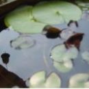 한데우물 이미지