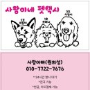 행복펫택시 이미지