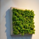 엘포레(L.FORET)