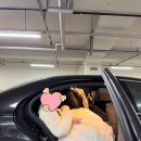 DSLR 사진촬영&포토샵 (B) | 노아고즈 스튜디오-웨딩촬영 솔직후기 [작가추천 손승민작가님, 촬영 포토존 추천]