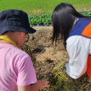 진행농장 이미지