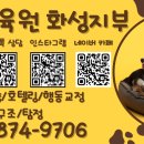 동물보육원 안산지부 이미지