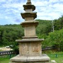 지보사